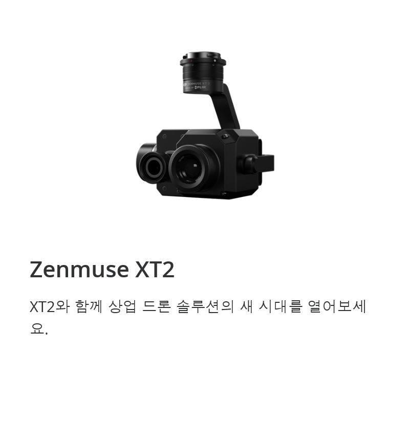 Public Safety/Security 공공안전