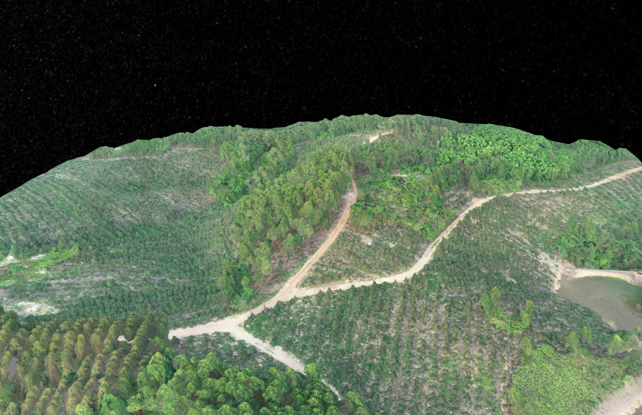 Forestry 산림