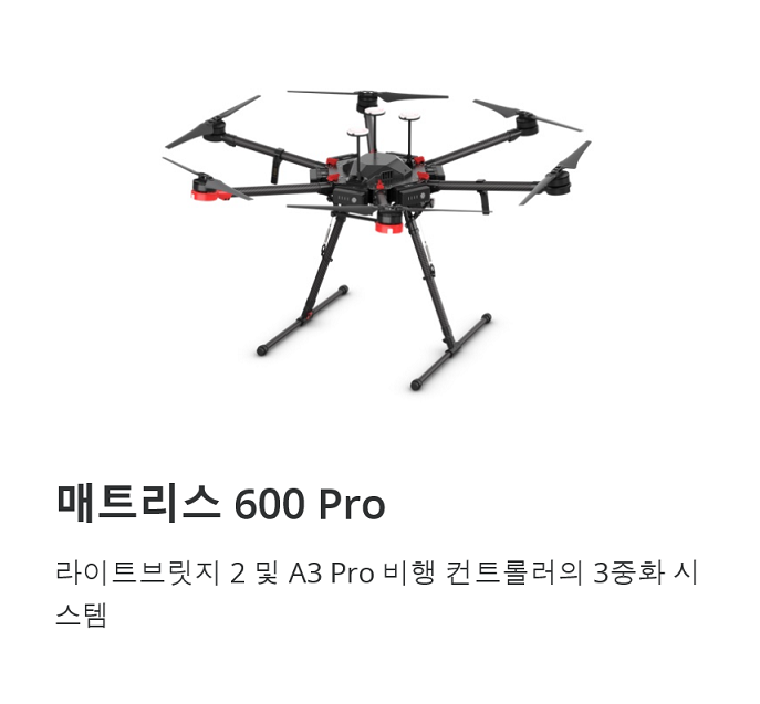 Forestry 산림