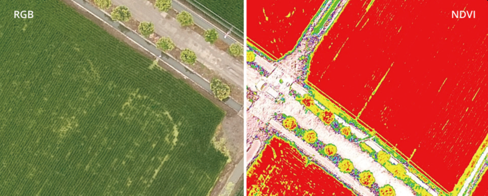 Phantom 4 Multispectral(다분광)